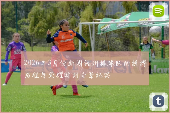 2026年3月份新闻杭州排球队的拼搏历程与荣耀时刻全景纪实