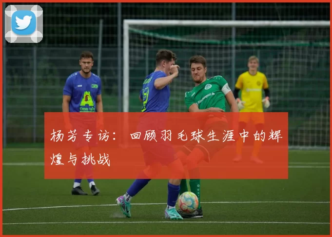杨芳专访：回顾羽毛球生涯中的辉煌与挑战
